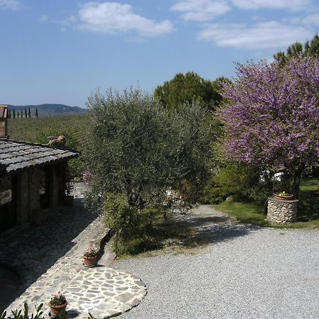 Bed and Breakfast Casa Lucia In Chianti Vagliagli Exteriér fotografie