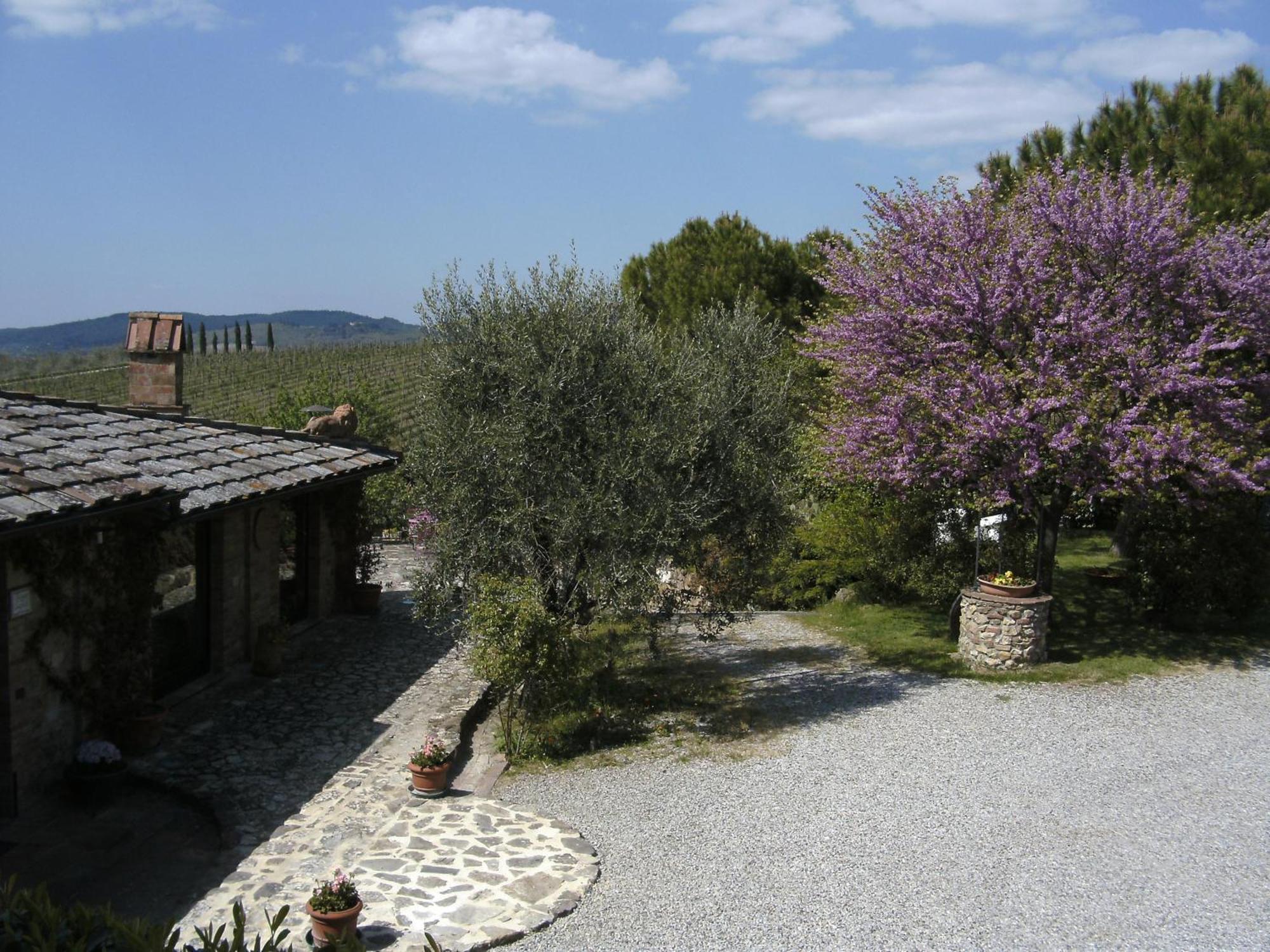 Bed and Breakfast Casa Lucia In Chianti Vagliagli Exteriér fotografie