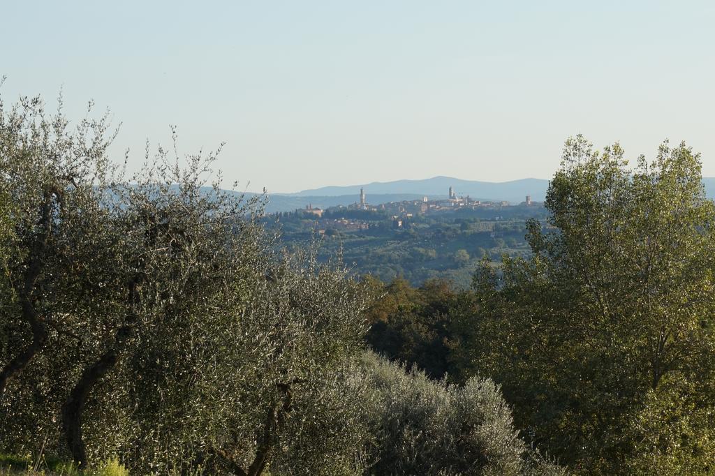 Bed and Breakfast Casa Lucia In Chianti Vagliagli Exteriér fotografie
