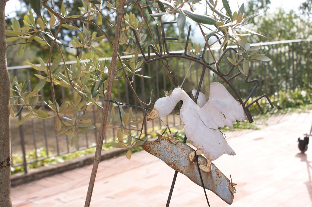 Bed and Breakfast Casa Lucia In Chianti Vagliagli Exteriér fotografie