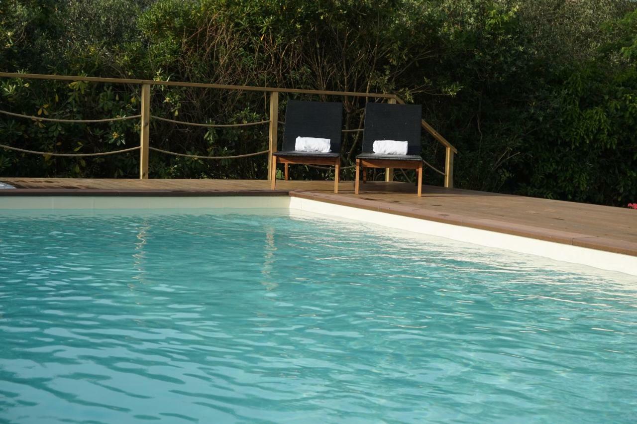 Bed and Breakfast Casa Lucia In Chianti Vagliagli Exteriér fotografie